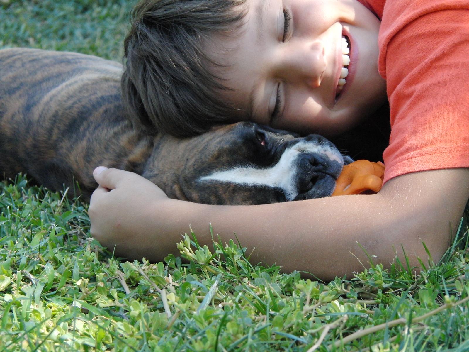 Are Boxers a Cuddly Breed? Discover the Affectionate Nature of These Dogs - Know Animals